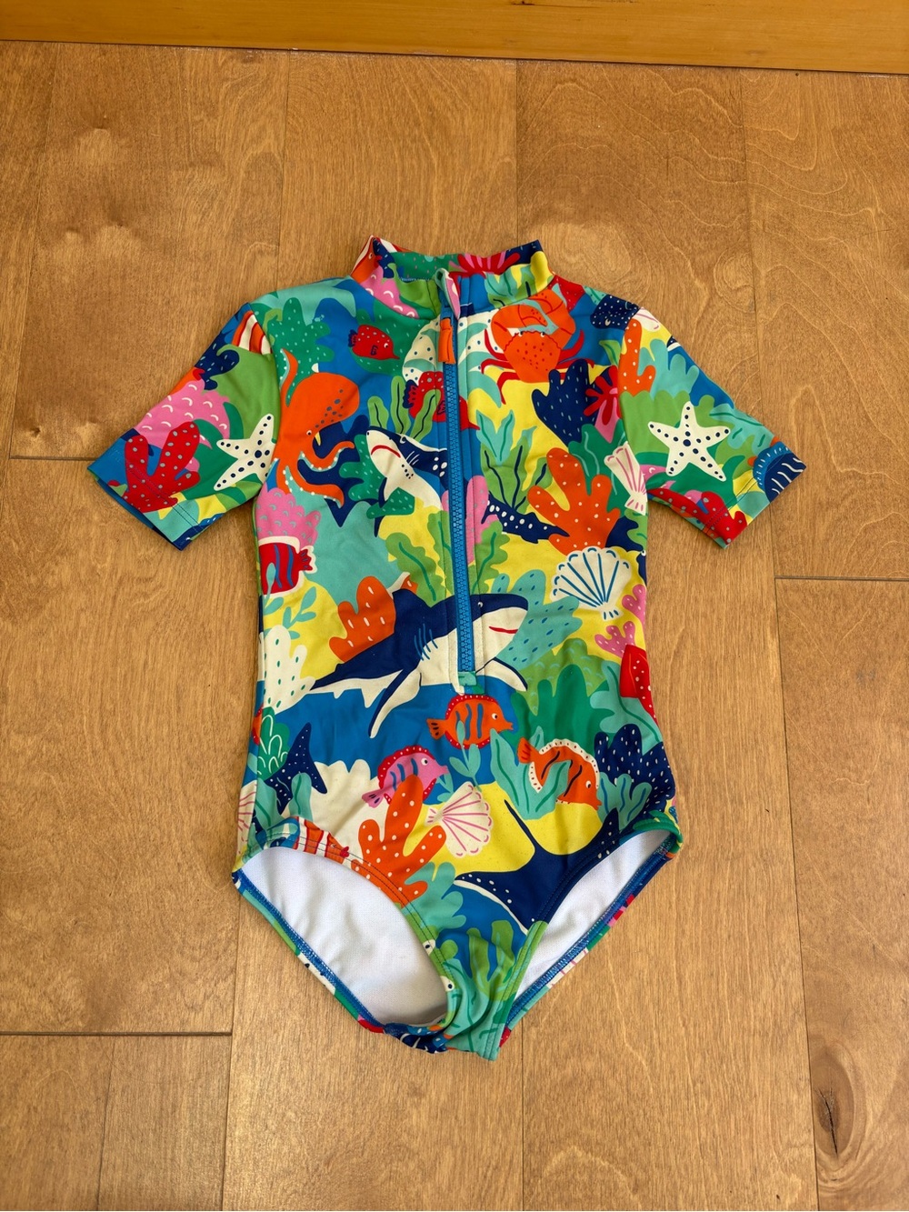 Boden sea animals swim suit